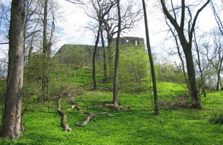 burg hauneck