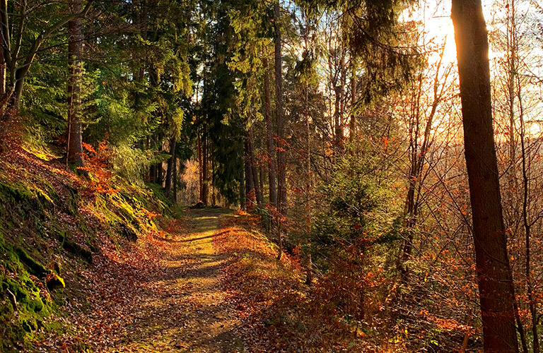 Panoramaweg bei Rotensee