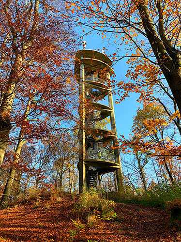 turm mengshaeuser kuppe